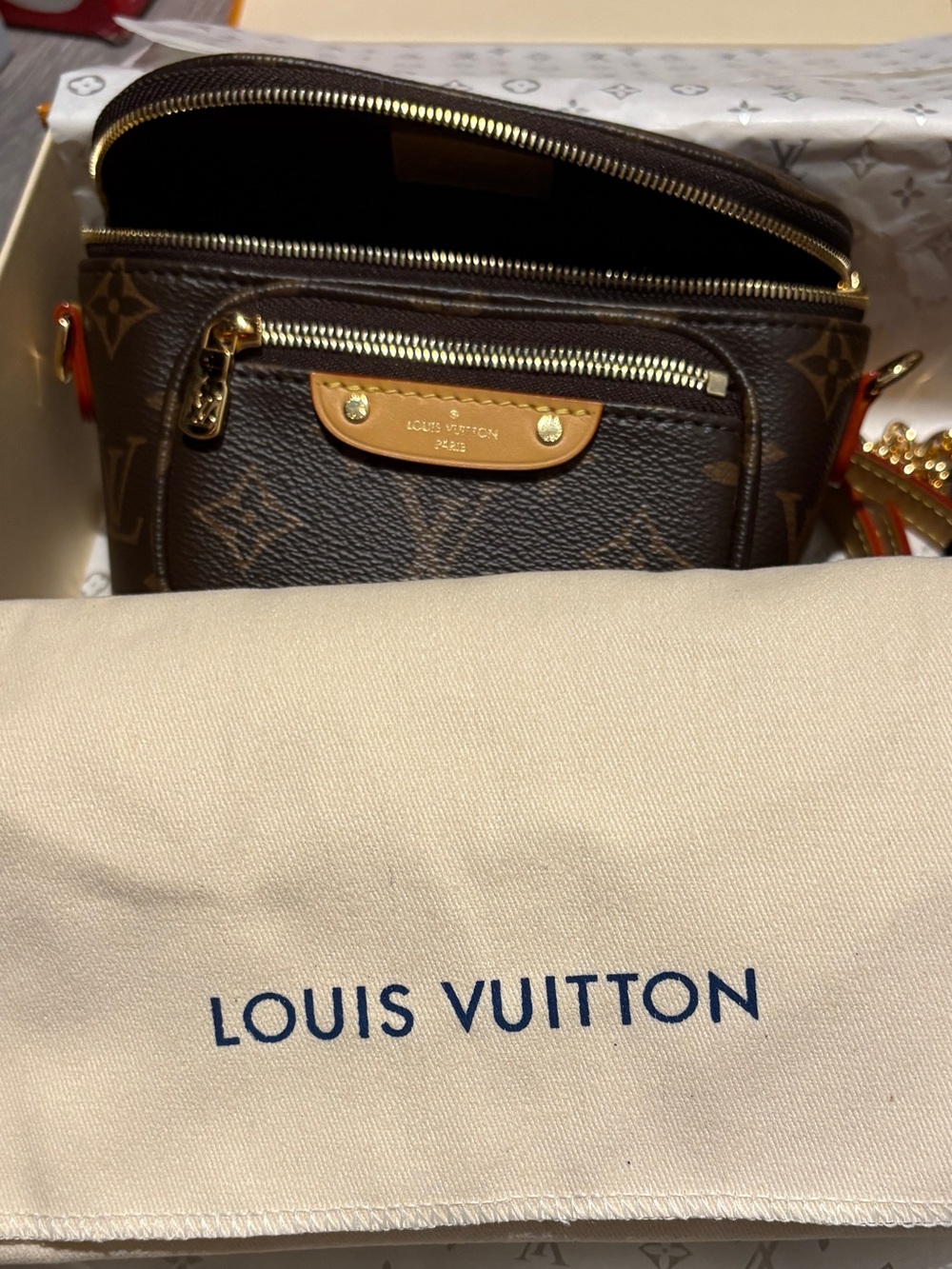 Louis Vuitton Mini Bum Bag